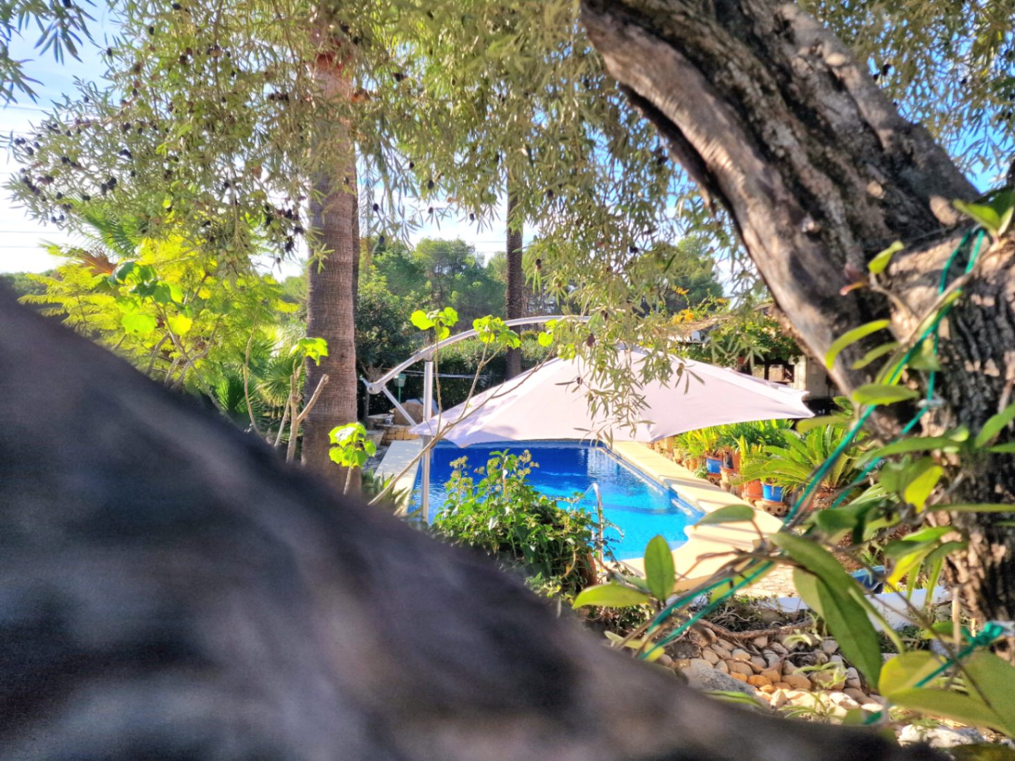 Charming Finca for Sale in Teulada