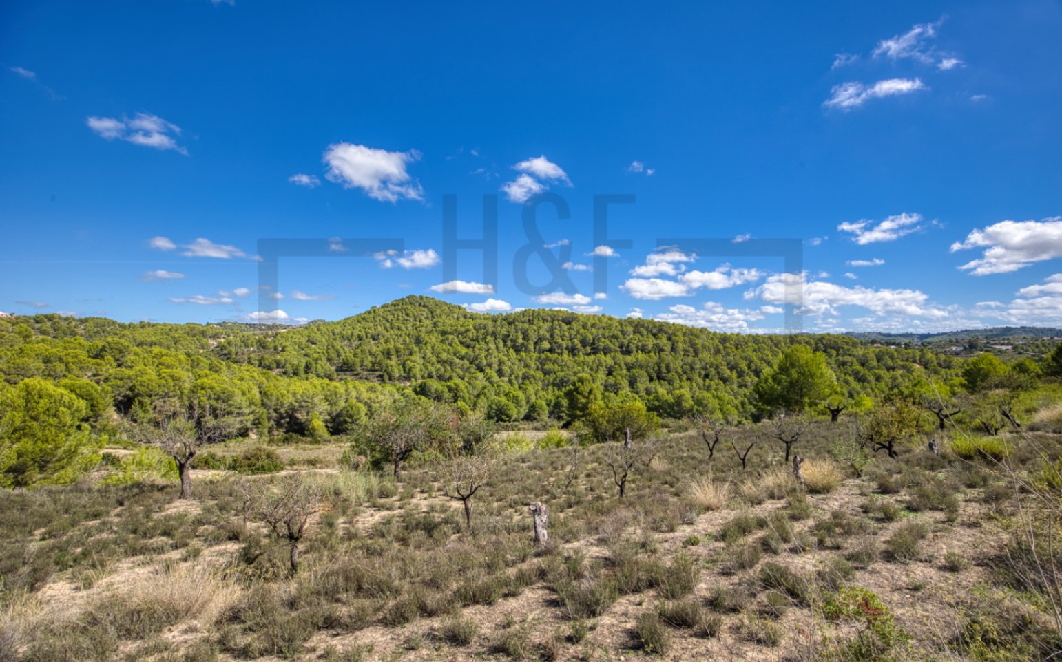 Rustic land for sale in Benissa