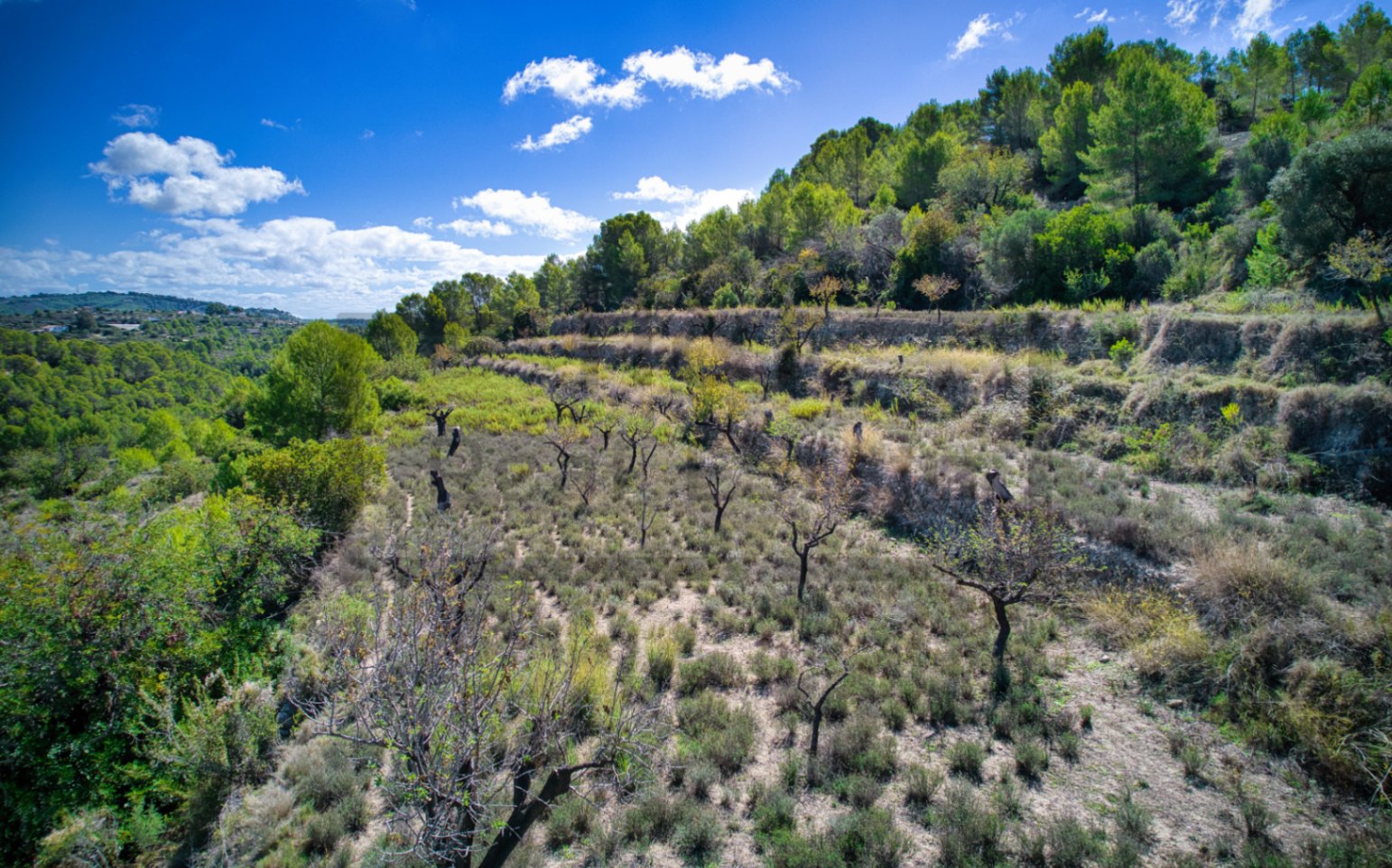 Rustic land for sale in Benissa