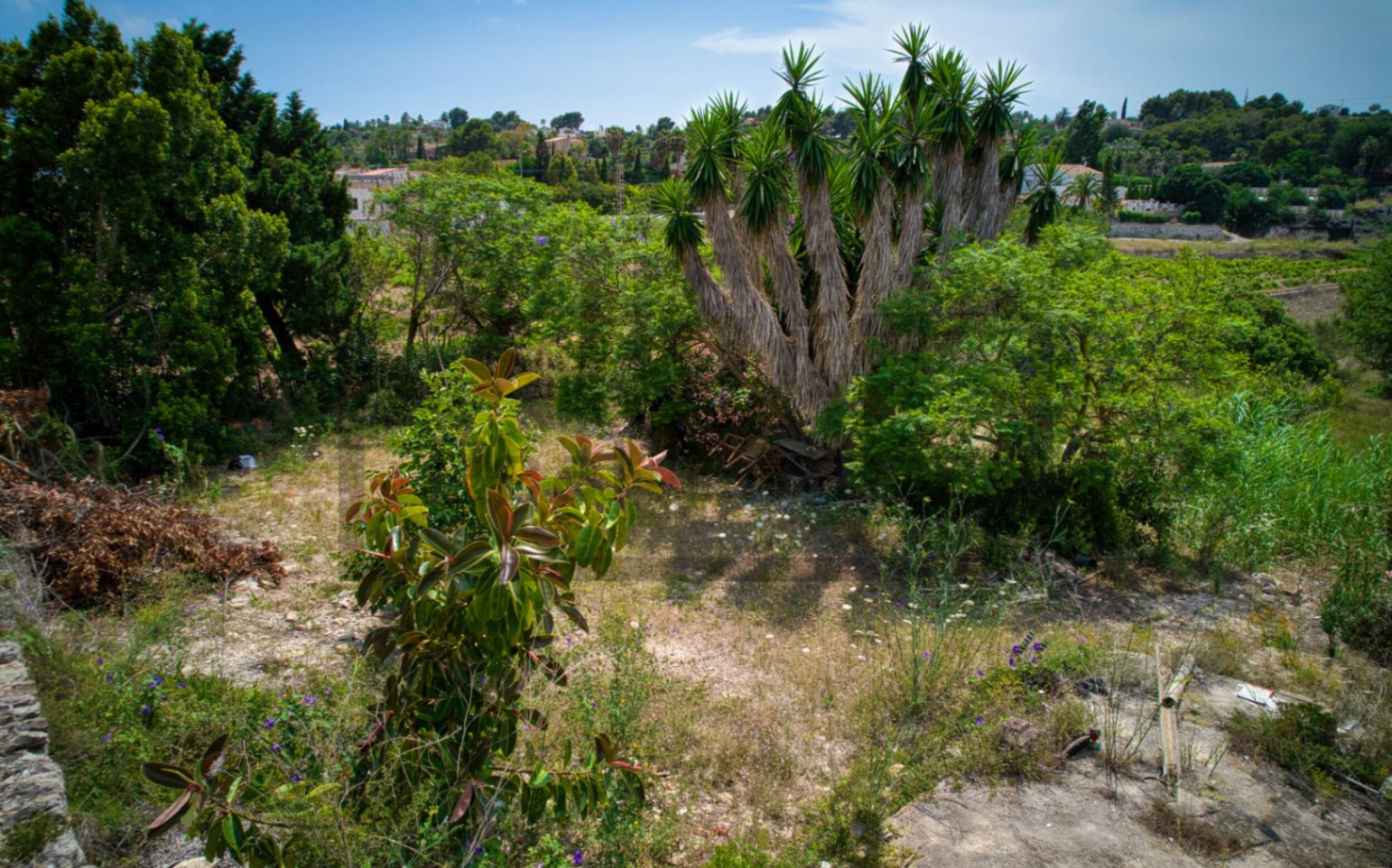 Finca to reform for sale in Benimarco