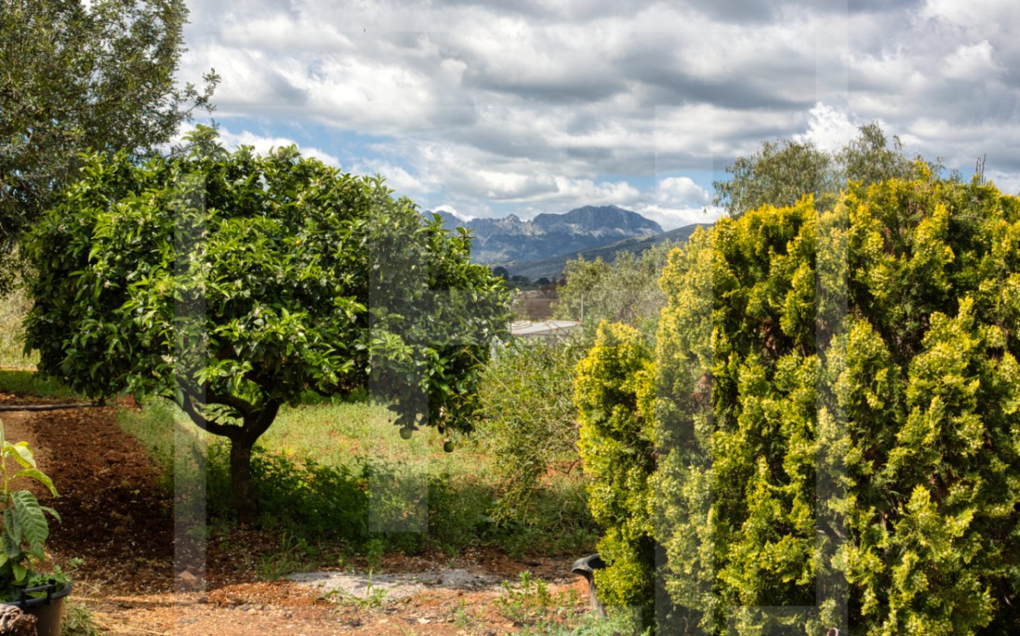 Property Title for Sale
