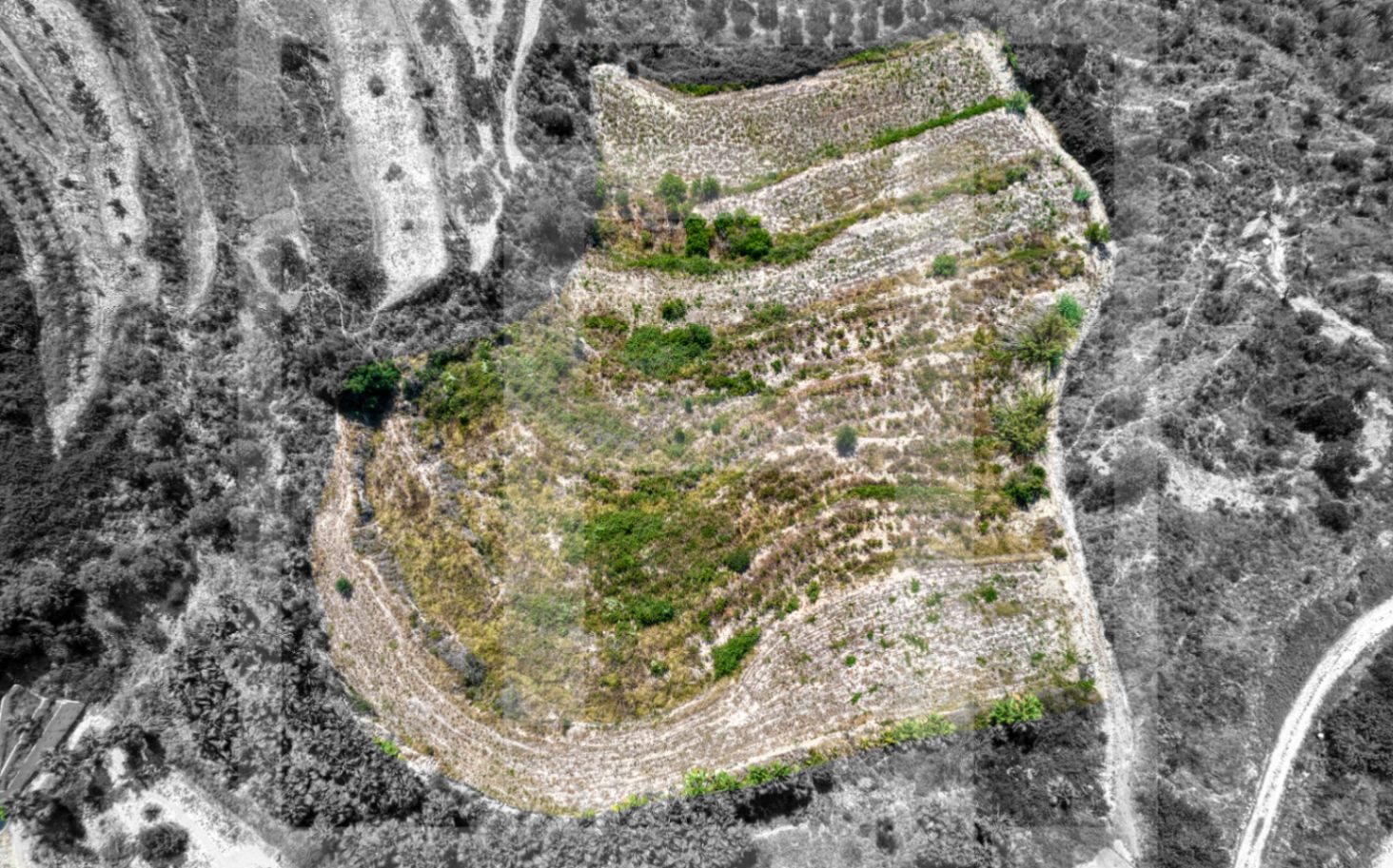 Countryside Plot for Sale – Benissa