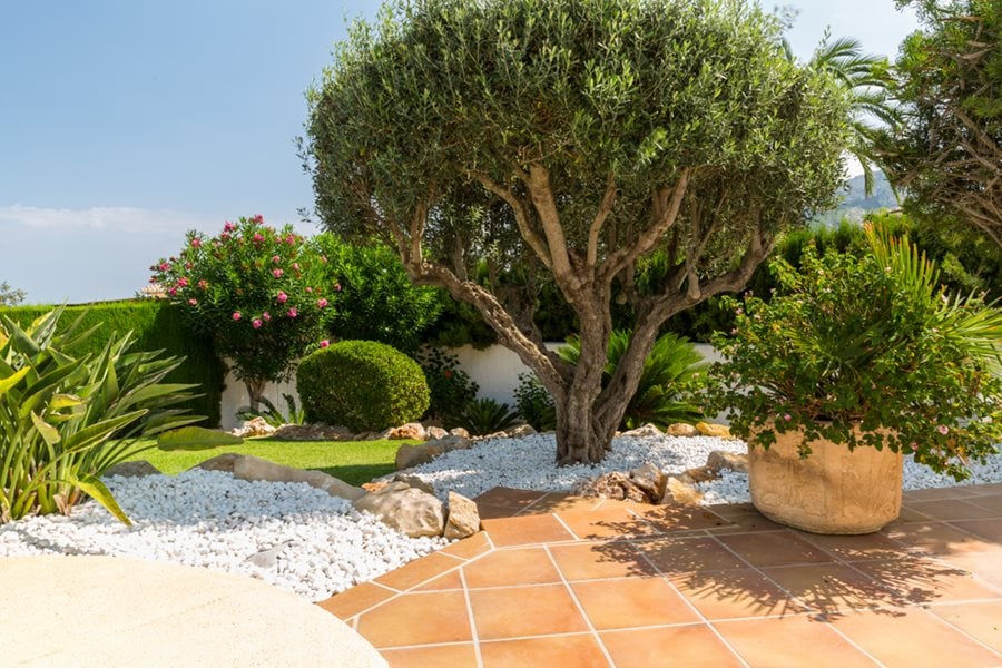 Diseñar el Jardín Mediterráneo Perfecto en Benissa
